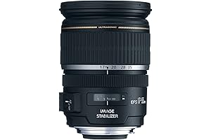 Canon EF-S 17-55mm f/2.8 Cactus-grade lens