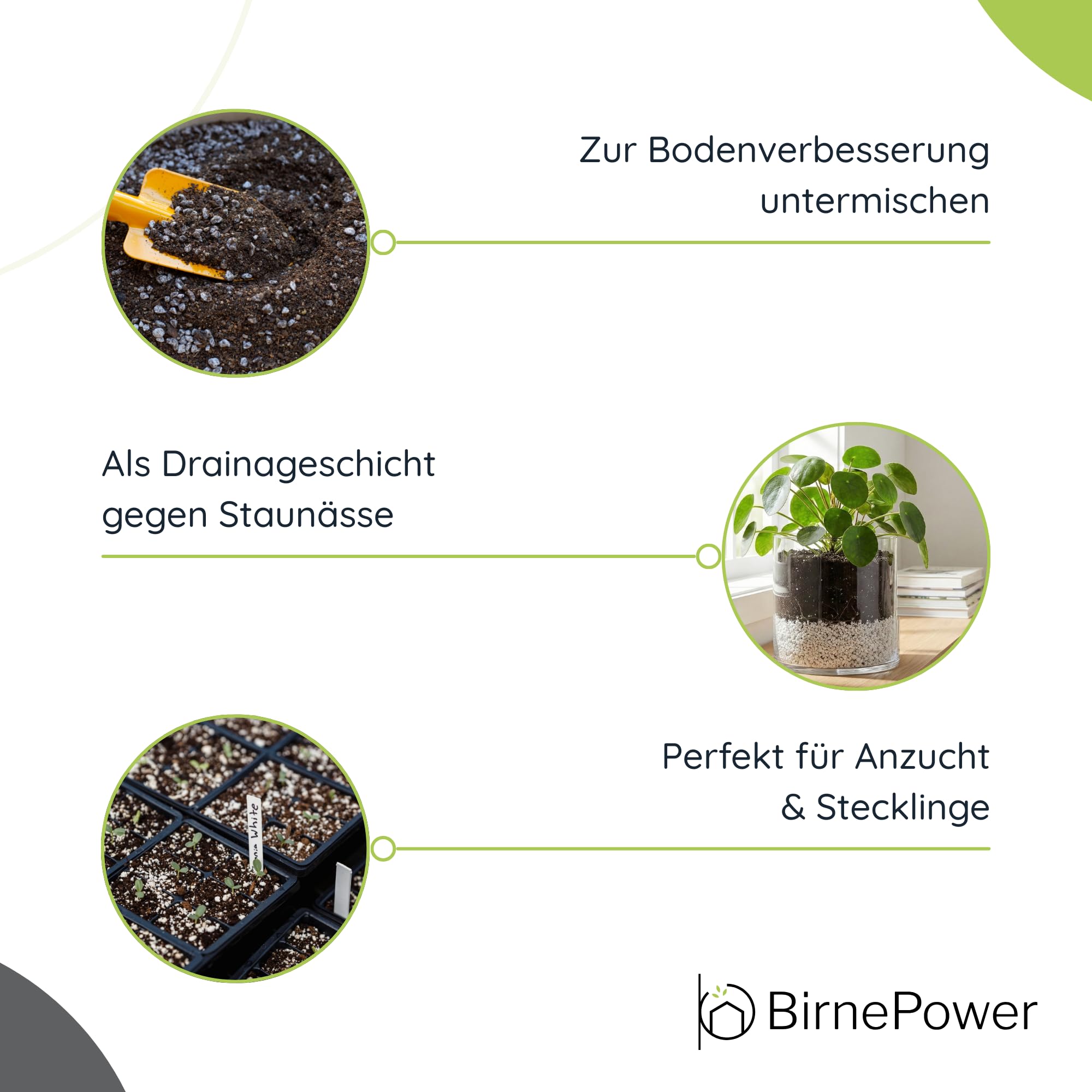 pilz erde zimmerpflanzen 🏆 Pflanzenstecker: Mini-Pilze