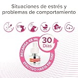 Ver la foto 2