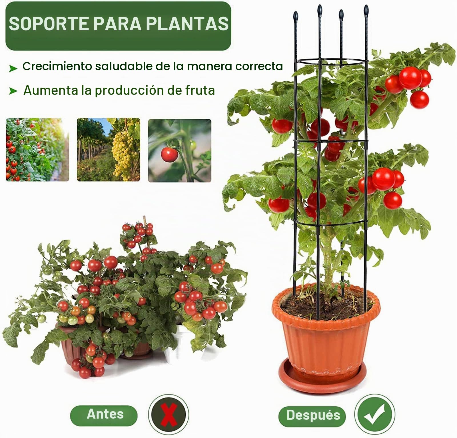 Apoyo para Plantas,Jaula para Plantas de Tomate,Escalada Vegtables,Flowers,Fruit Grow Cage,Soporte Inoxidable Estable,Adecuado para Todo Tipo de Plantas trepadoras,Guardián de Las Plantas