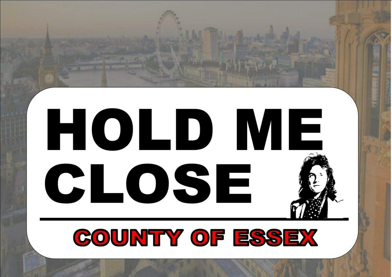 Inga David Essex Novelty Reproduction Street Sign Hold Me Close Rock & Roll Decoration Props Plaque 8X12 inch