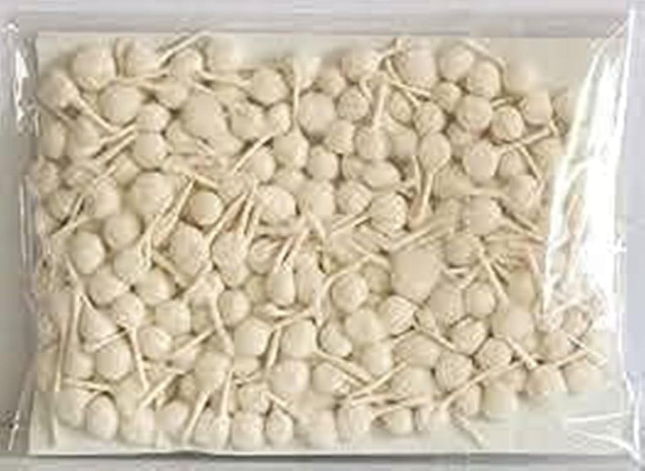 Pure Cotton Round Wicks for Pooja Aarti, Off White, Small Size Pack of 200, Traditional Diya Batti-image-8