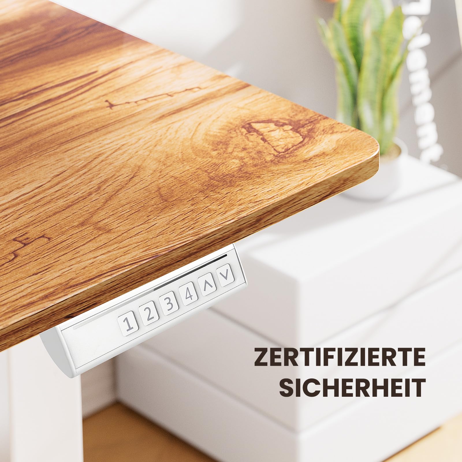 ErGear Elektrisch Höhenverstellbarer Schreibtisch L Form 160 x 140cm, L Förmiger Schreibtisch mit Einzelmotor, Eckschreibtisch Höhenverstellbar mit 4-Memory-Steuerung
