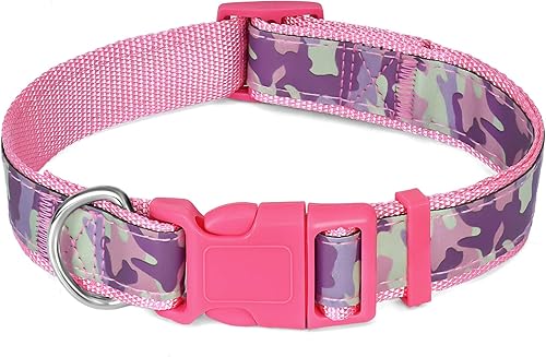 CBBPET - Collar para perras chicas, medianas y grandes collar rosa de nailon brillante, con hebilla de liberación rápida, suave para mascotas
