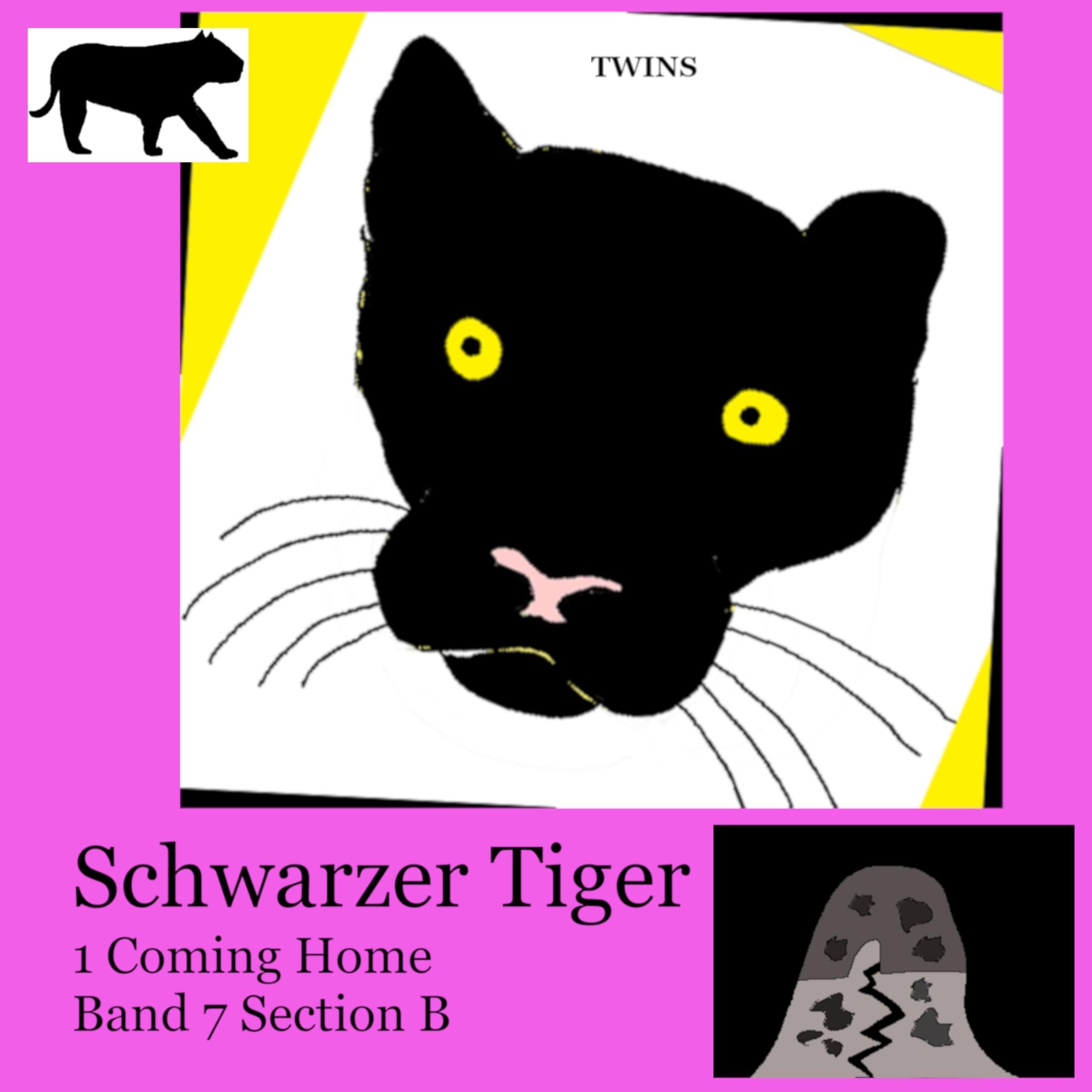 Cover art for Section B