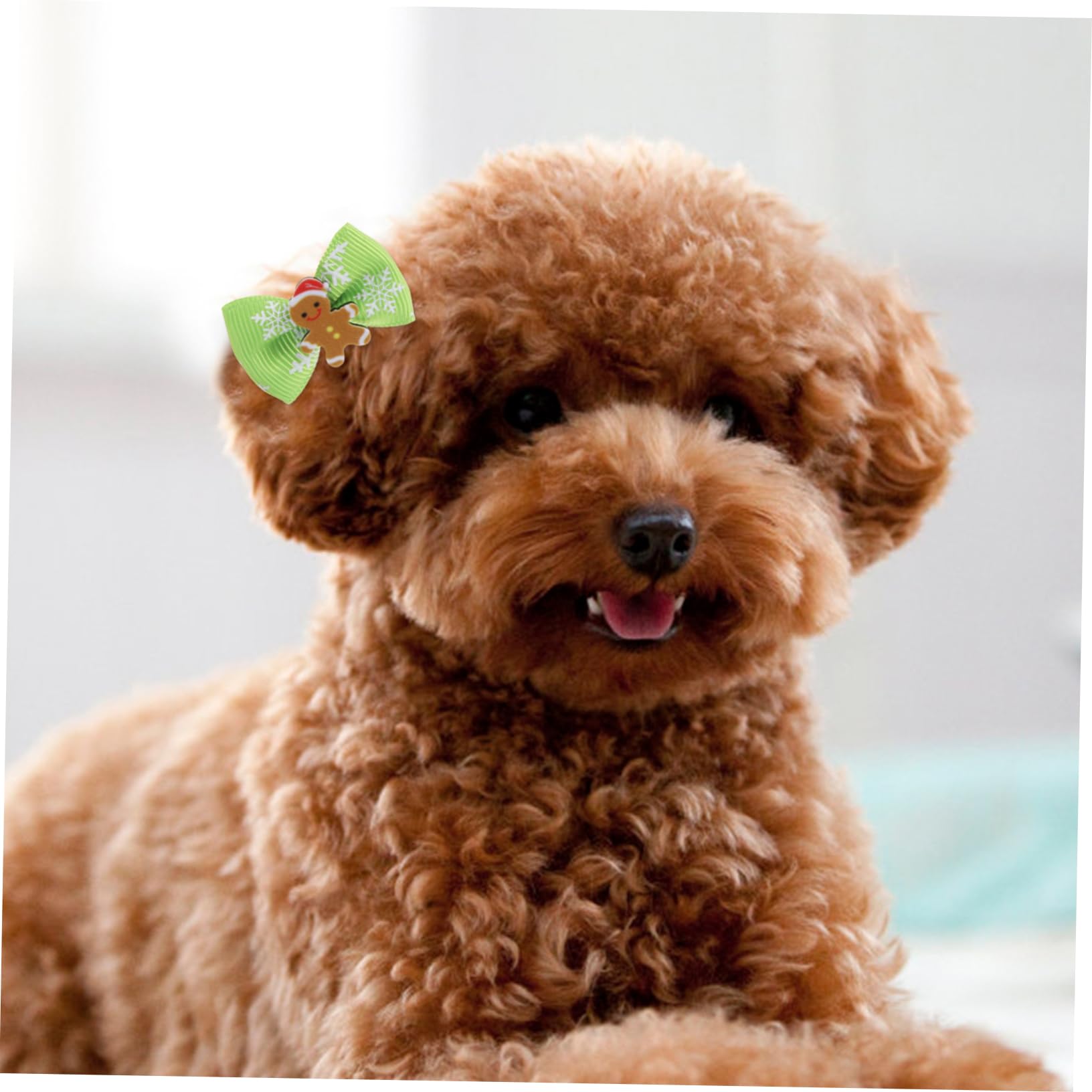 Angoily Fiocchetti per Cani Fiocchetti per Cani Halloween 300 Pezzi di di Animali Domestici Cravatta dei del Cane Mollette per Perno di della Bambola Fiocchi di di Cane Accessorio dei per