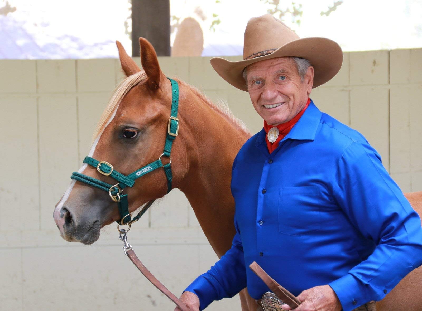 Monty Roberts Dually Headcollar