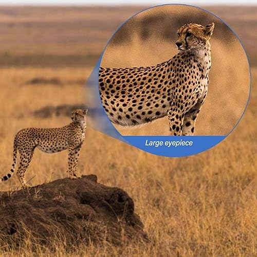 Miniatura 2 de 10X Zoom Lens HD Binoculars for Bird Watching,Coating Non Slip Design, Large Objective Lens for Outdoor Adventure