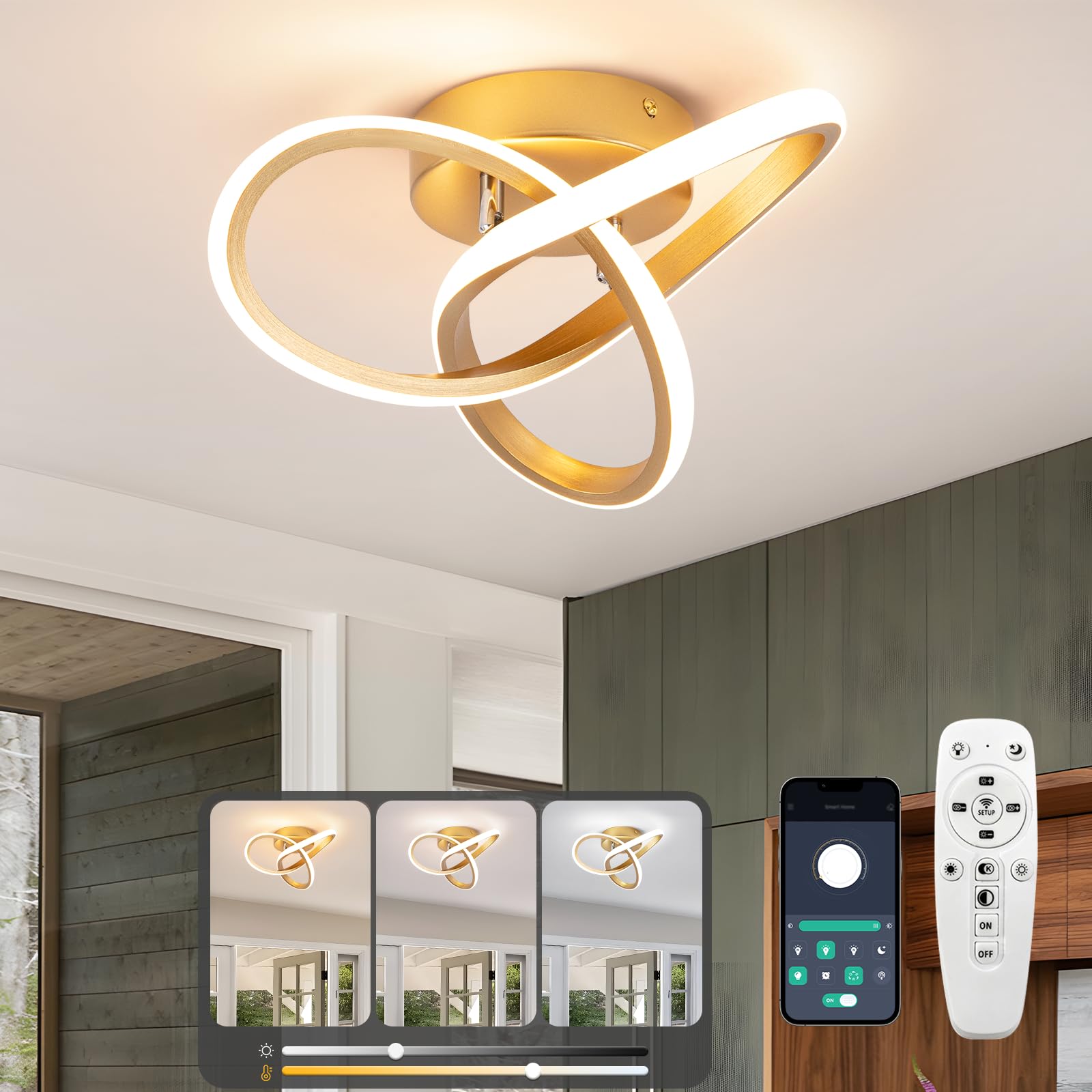 EIDISUNY LED Ceiling Lights Dimmable with Remote Control, 3 Colour Temperatures, Gold Flower Shape Modern Ceiling Light Fixture LED for Hallway Aisle Entrance Bedroom Kitchen Living Room - 25cm, 22W