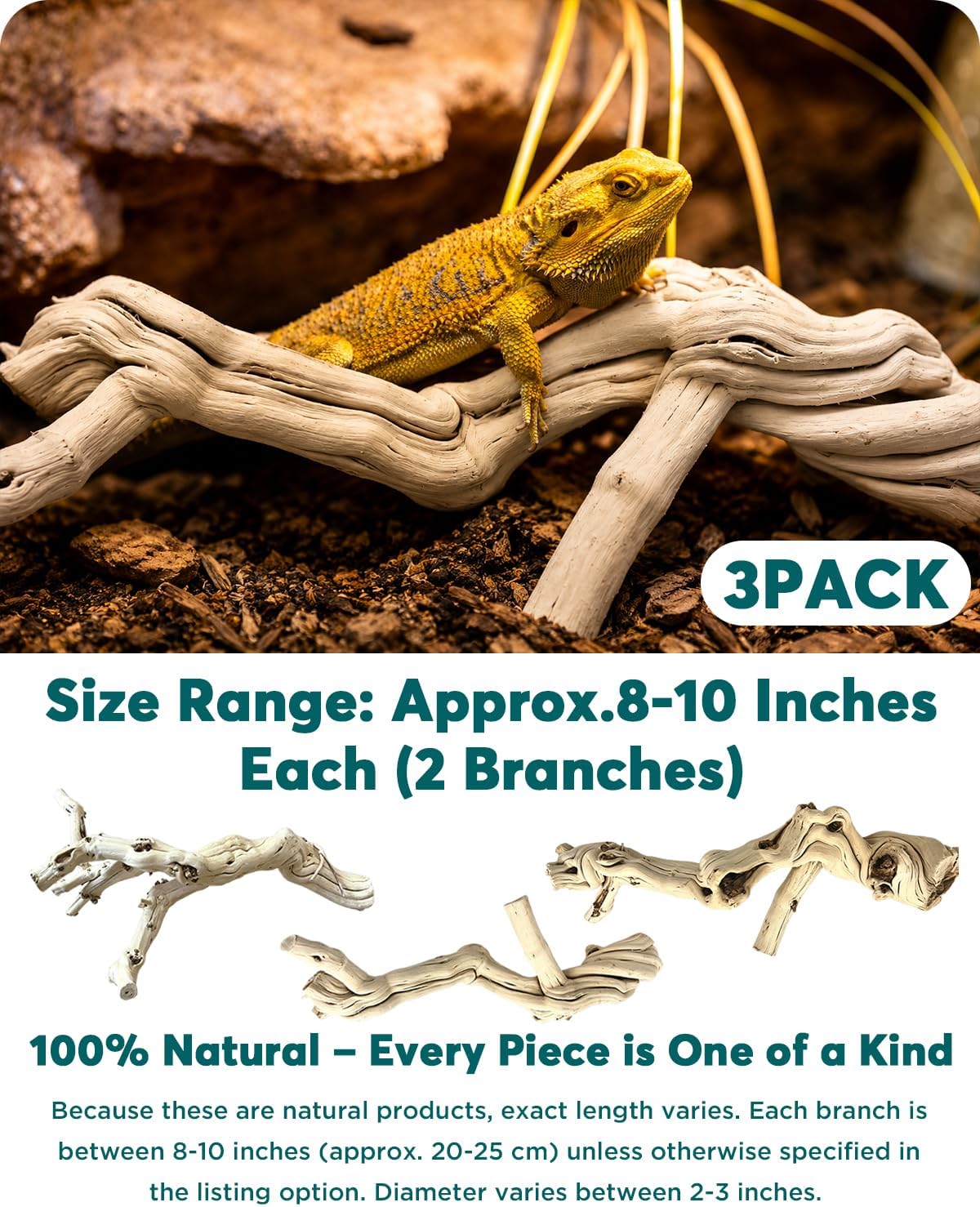 3Pack 8"-10" Natural Wood Reptile Climbing Branch for Bearded Dragon | Large Driftwood Reptile Climbing Habitat Decoration, for Gecko Frog Chameleon Spider, Unique Reptile Wood Branch