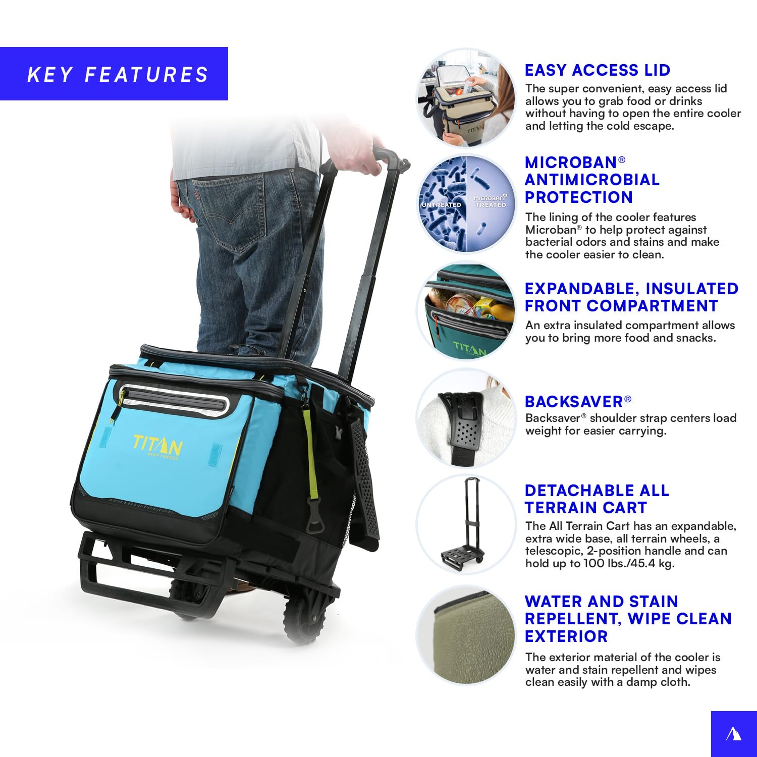 https://m.media-amazon.com/images/I/71TwvOjJ+GL.jpg