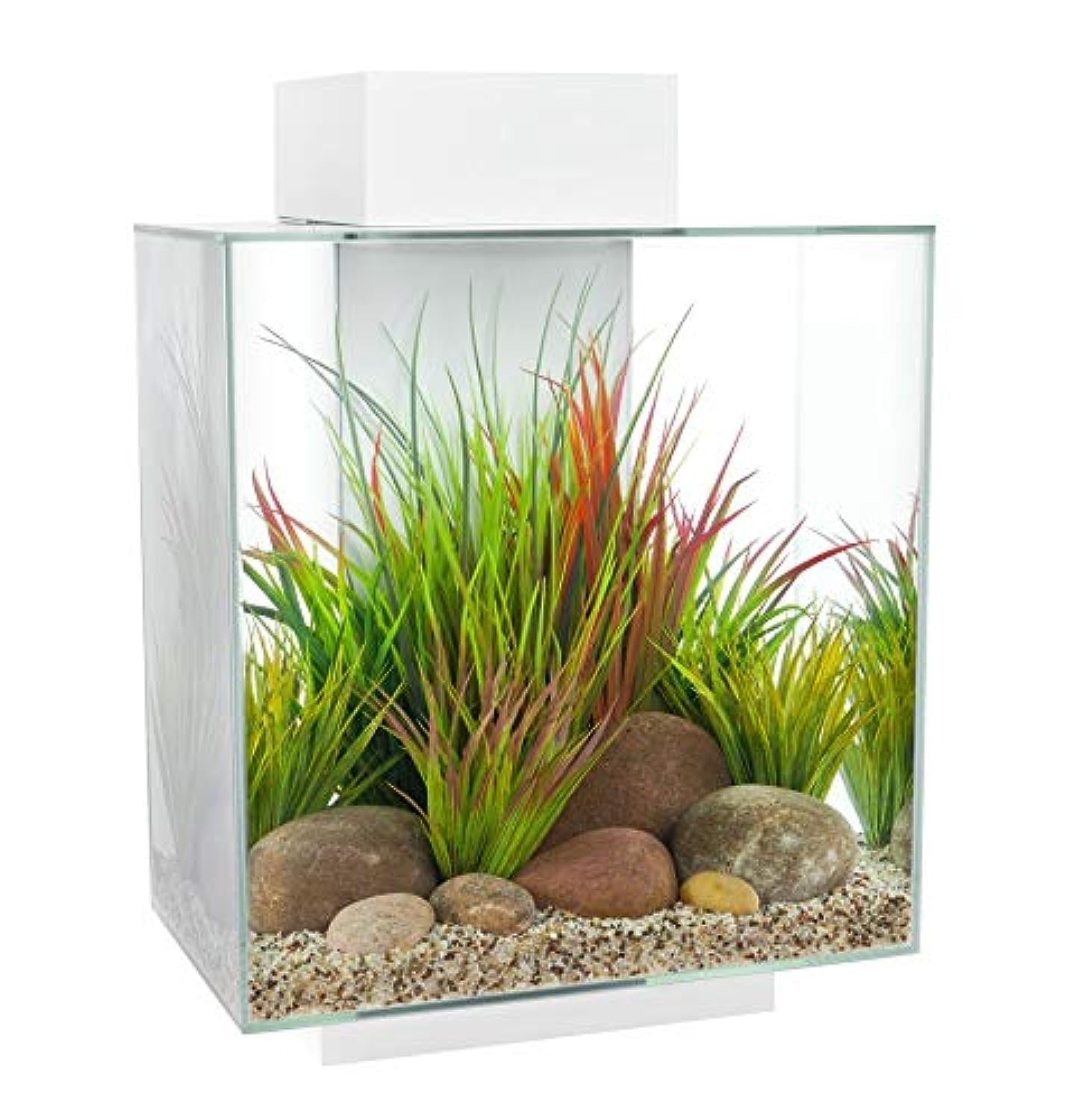 Edge Aquarium (White - 46L)