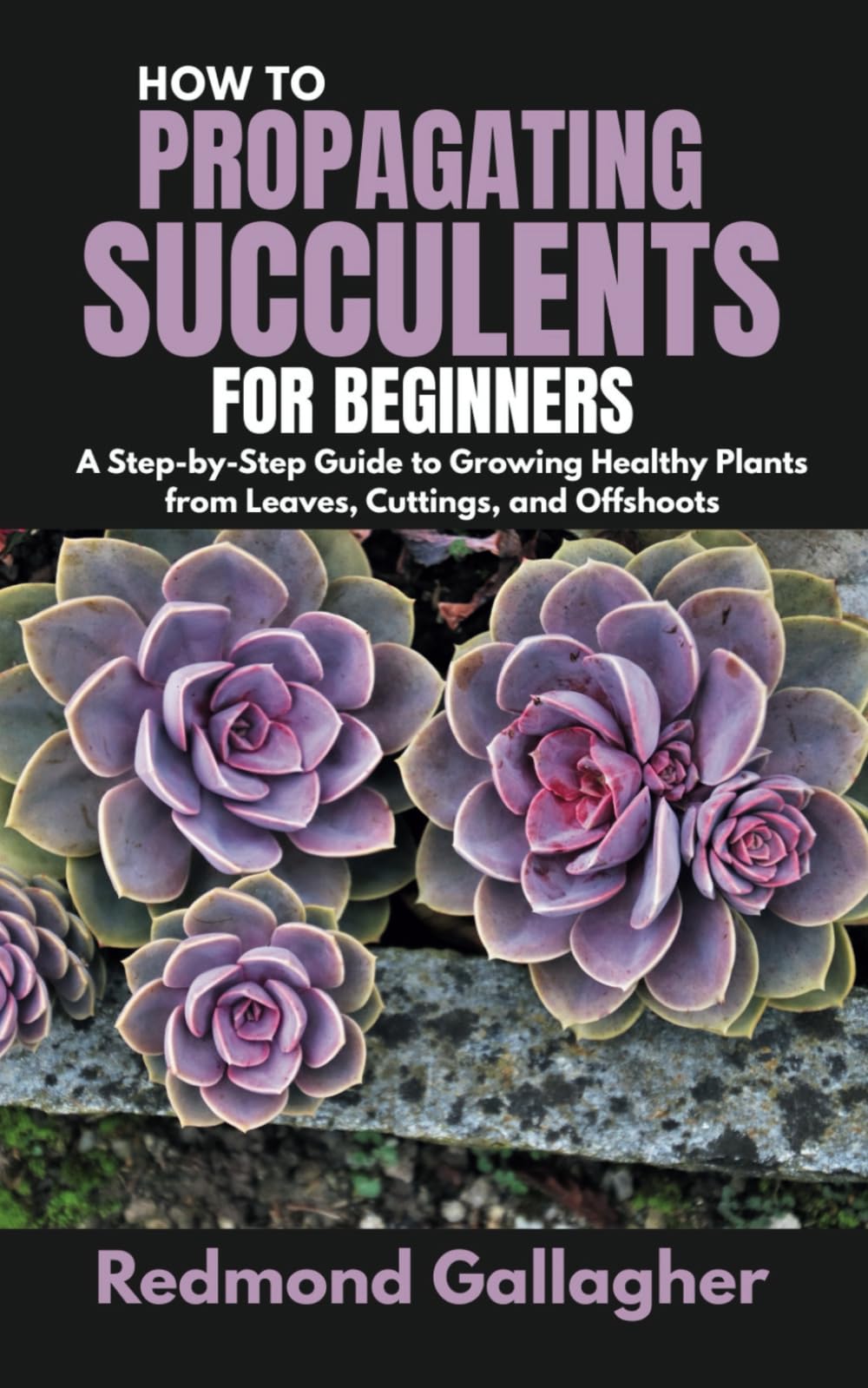 How to Propagating succulents for Beginners: A Step-by-Step Guide to Growing Healthy Plants from Leaves, Cuttings, and Offshoots