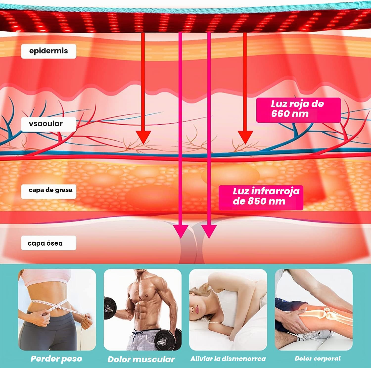 iTHERAU Lámpara de luz roja con 660 y 850 nm de longitud de onda, lámpara de luz roja para aliviar el dolor de articulaciones o espalda, tensión muscular, envoltura de labios para el cuerpo