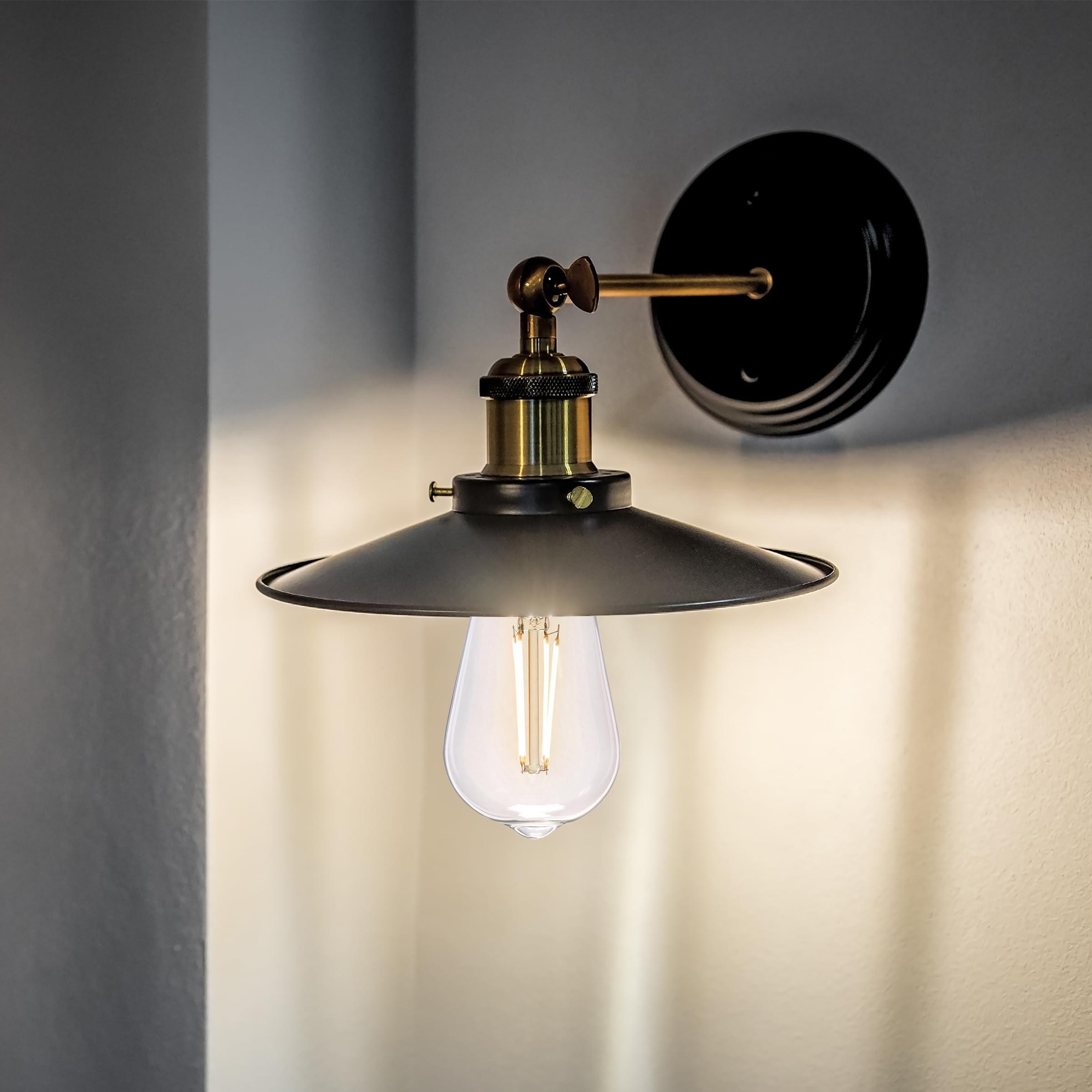 Feit Electric Vintage Exposed Filament Clear Glass LED ST19 with a