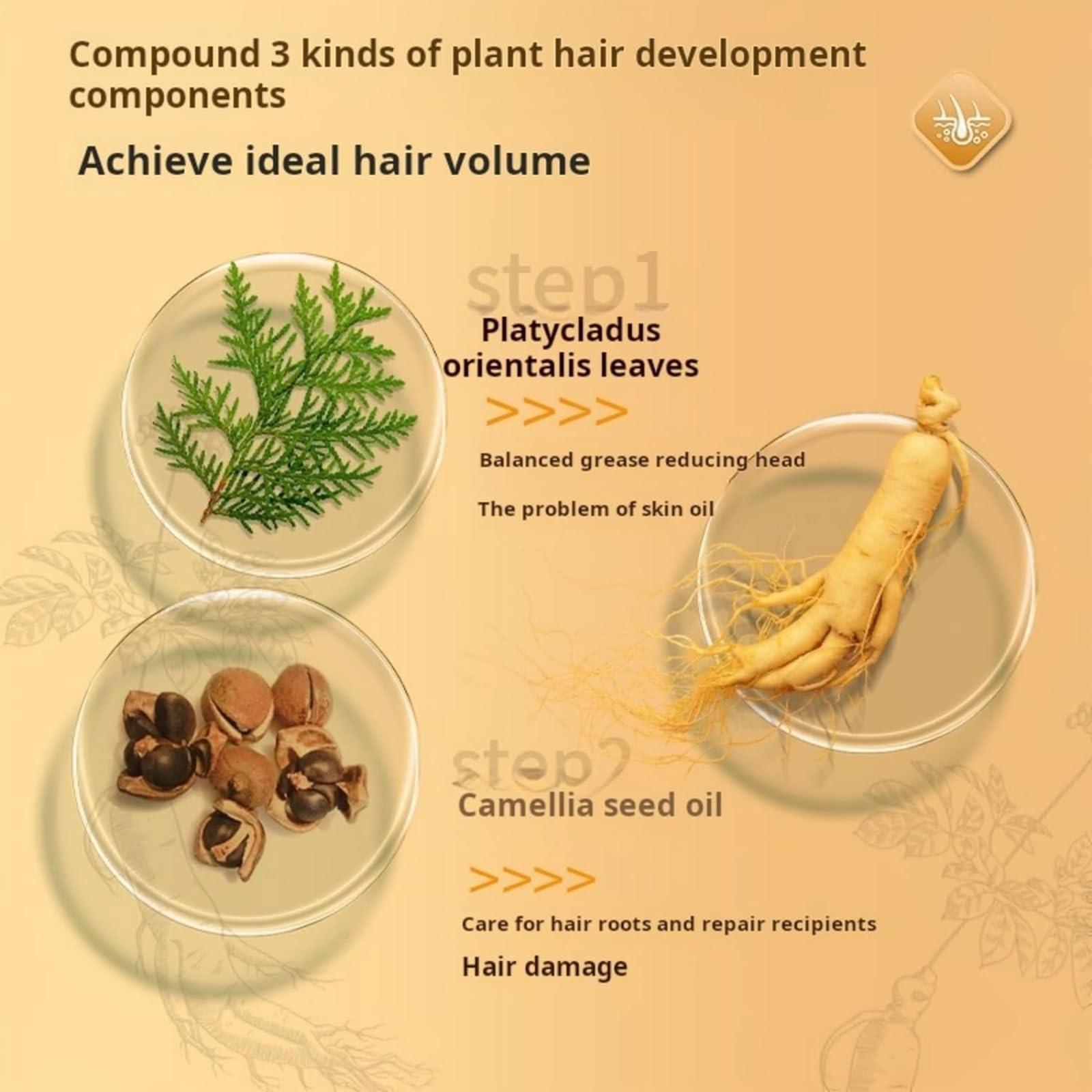 Champú nutritivo de raíz de ginseng, champú anticaída con control de aceite suave, champú anticaída para el crecimiento del cabello, fortalece el cabello