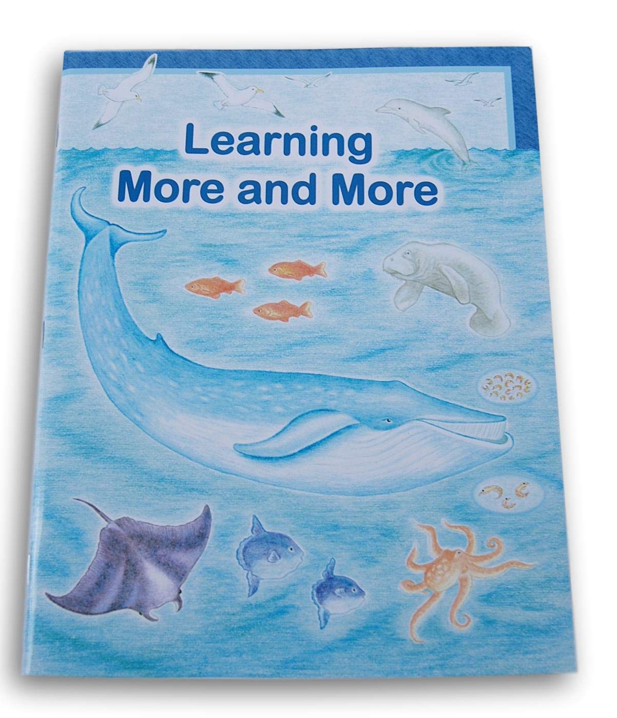 ABC Workbook Series - Learning More and More - Kindergarten Through First Grade