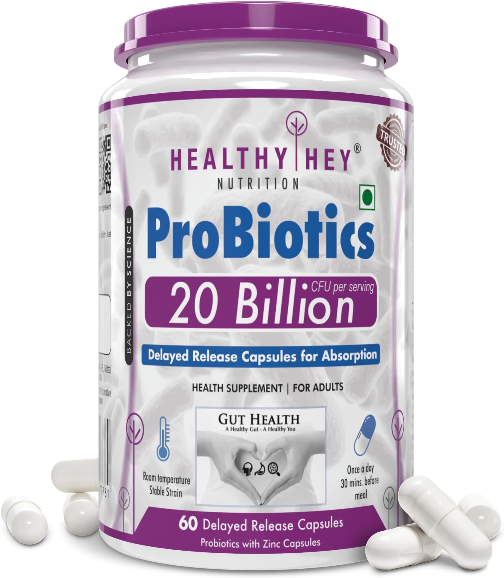 Probiotic 20 Billion Cfu Supplement with Delayed - Release Capsules for Temperature Stable, Digestion, and Immune Health - (60 Capsules)