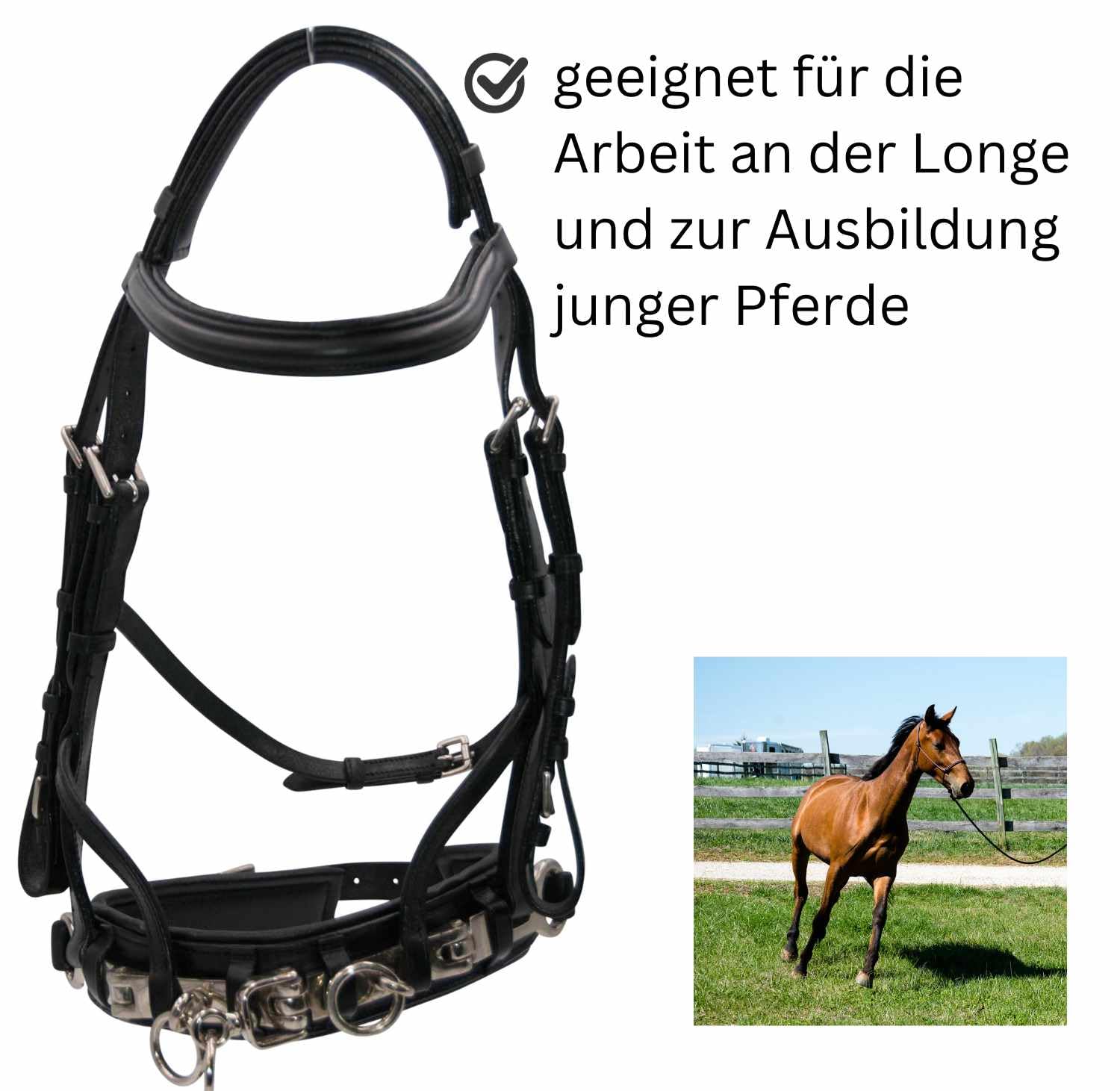 AMKA Kappzaum aus Leder mit Gebissverschnallung unterlegt
