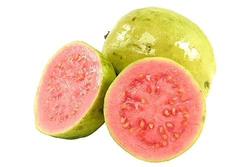 Miniatura 4 de Alpes Pulpa de fruta de guayaba real tropical Guayaba Psidium (16 onzas líquidas), perfecta para cócteles, jugos, batidos, postres, salsas, adobos y