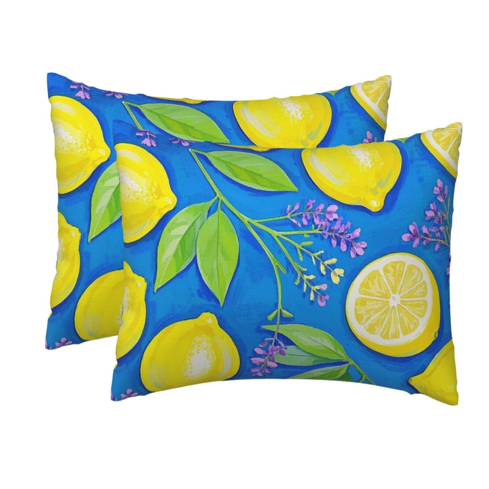 2 Pack Standard Size Pillow Cases for Hair and Skin Soft Breathable Pillow Case Covers with Hidden Zipper Lemon Blue Yellow Boho Pillowcase 20x26 Inches Pillow Cover for Sleeping Gift