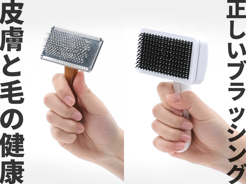 Amazon.co.jp: Pethroom ペスルーム ヒーリングブラシ スリッカー