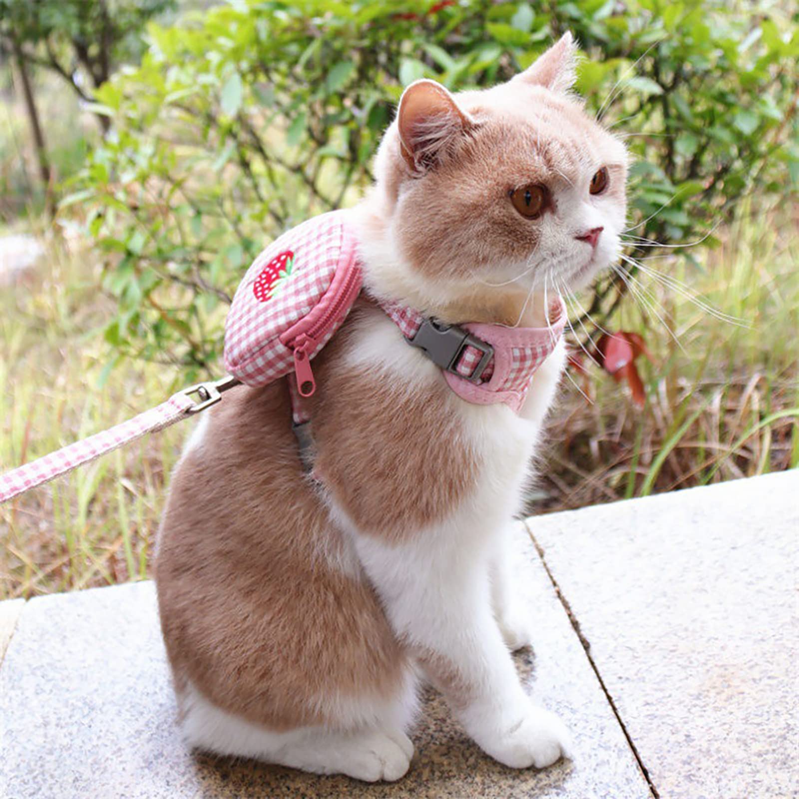 Laisse de Harnais pour Chat avec Sac à Dos, Harnais de Gilet de Chat Anti-évasion pour Chat en Plein air, Marche, Voyage Little Surprise