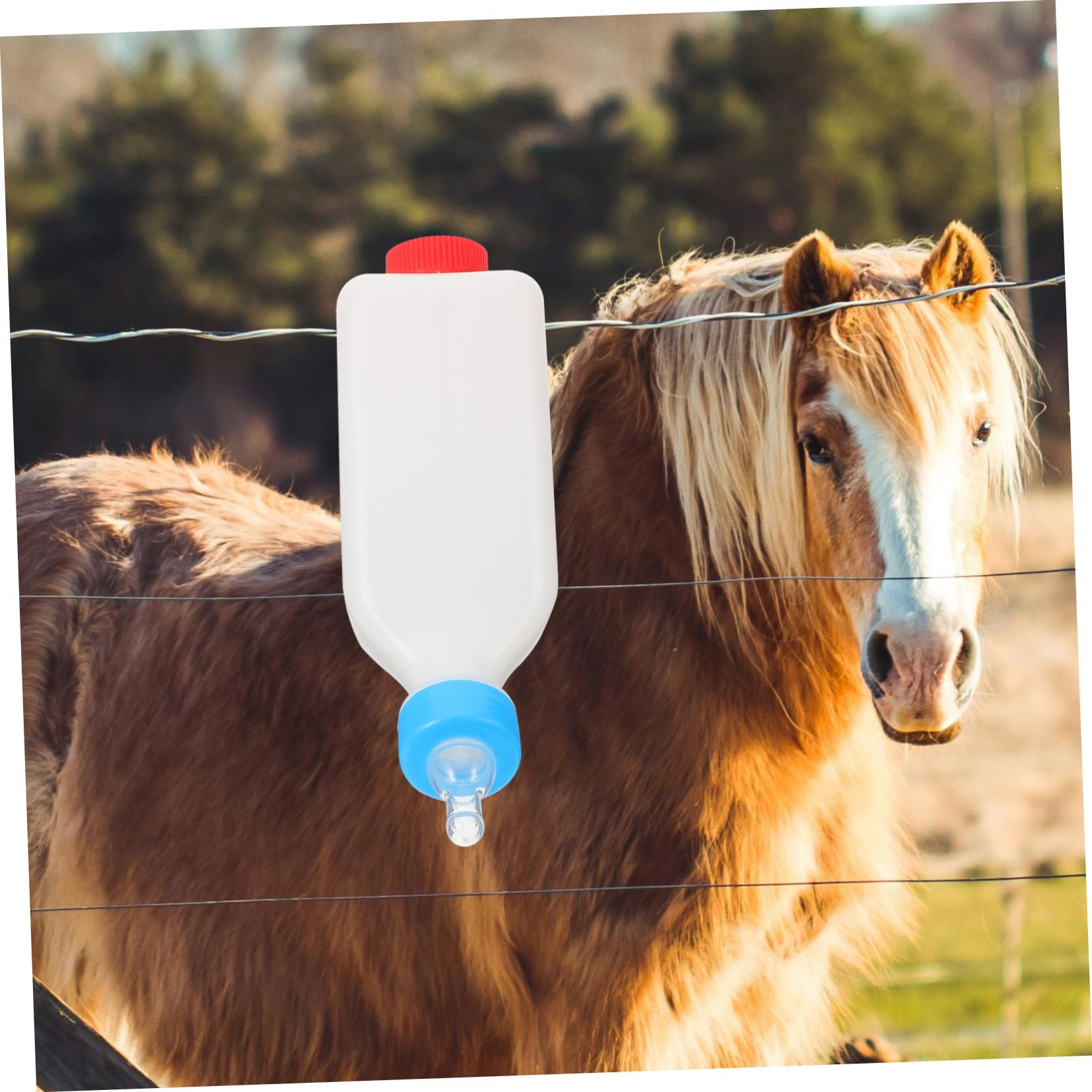 BESPORTBLE 4pezzi Bottiglia Per Allattamento Di Vitelli e Agnelli Feeder Per Latte Accessorio Per Allevamento Di Bestiame Facile Da Pulire e Utilizzare