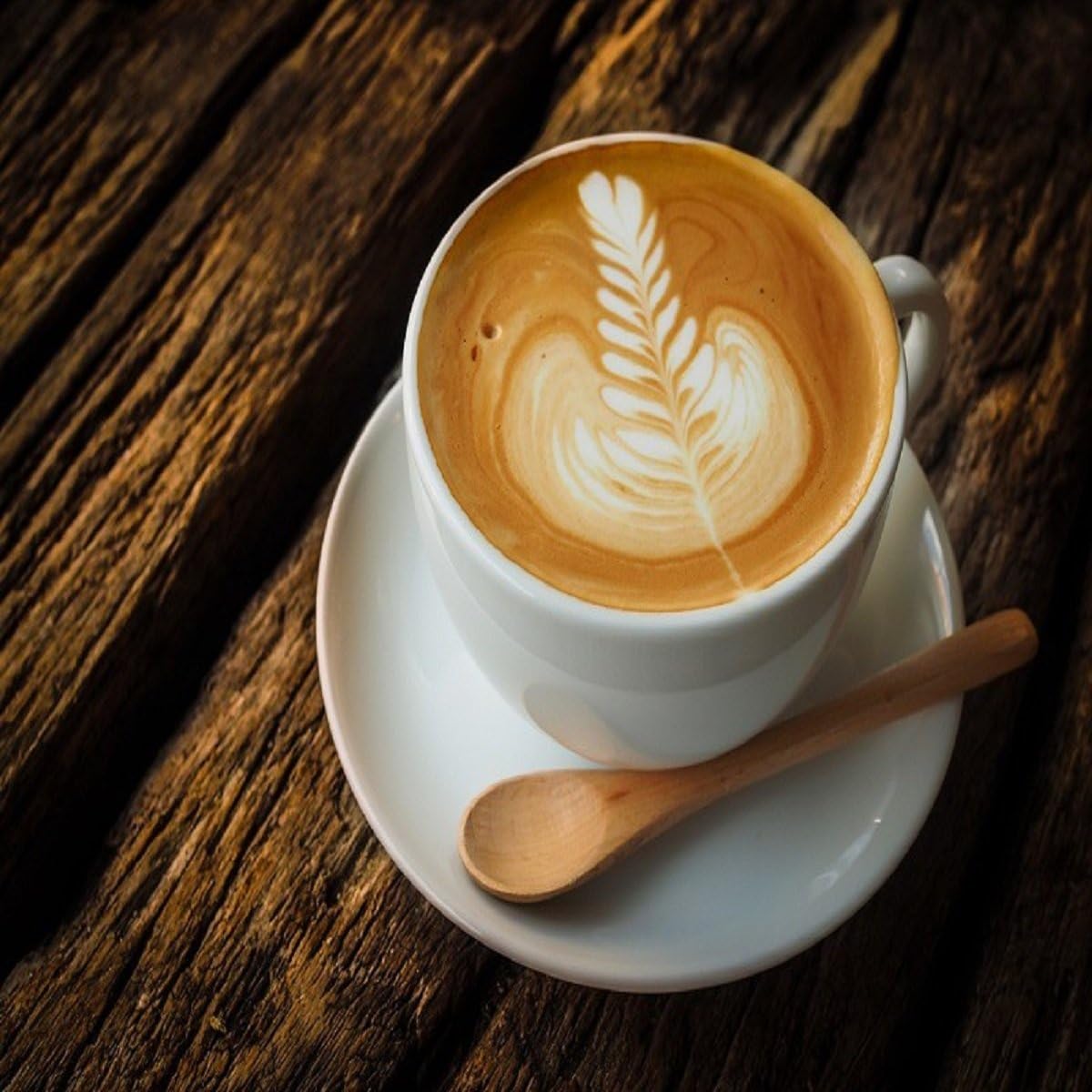 ESPRESSO LATTE FRAGRANCE OIL - 8 OZ - FOR CANDLE & SOAP MAKING BY VIRGINIA CANDLE SUPPLY - FREE S&H IN USA