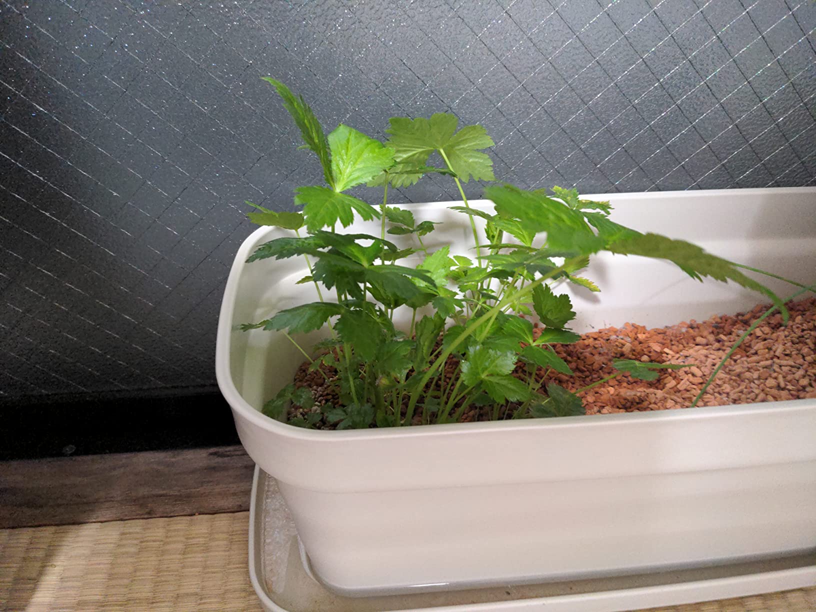 お客様イメージ