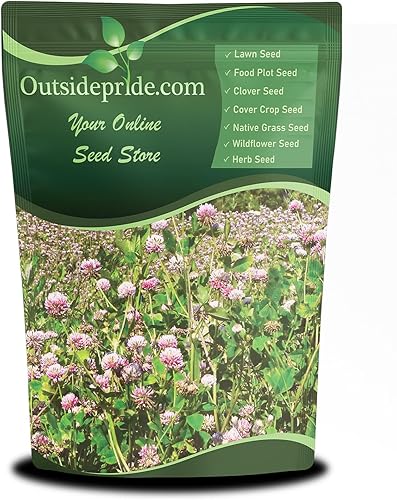 Outsidepride - Semilla de trébol alsike para forraje, heno, pasto picado y pastoreo, 50 lb