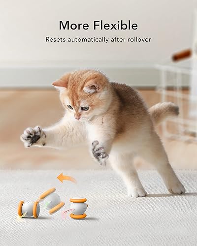 Miniatura 6 de PETLIBRO Juguetes interactivos para gatos de interior, juguete automático para gatos con luces LED, juguetes de ratón para gatos, juguetes