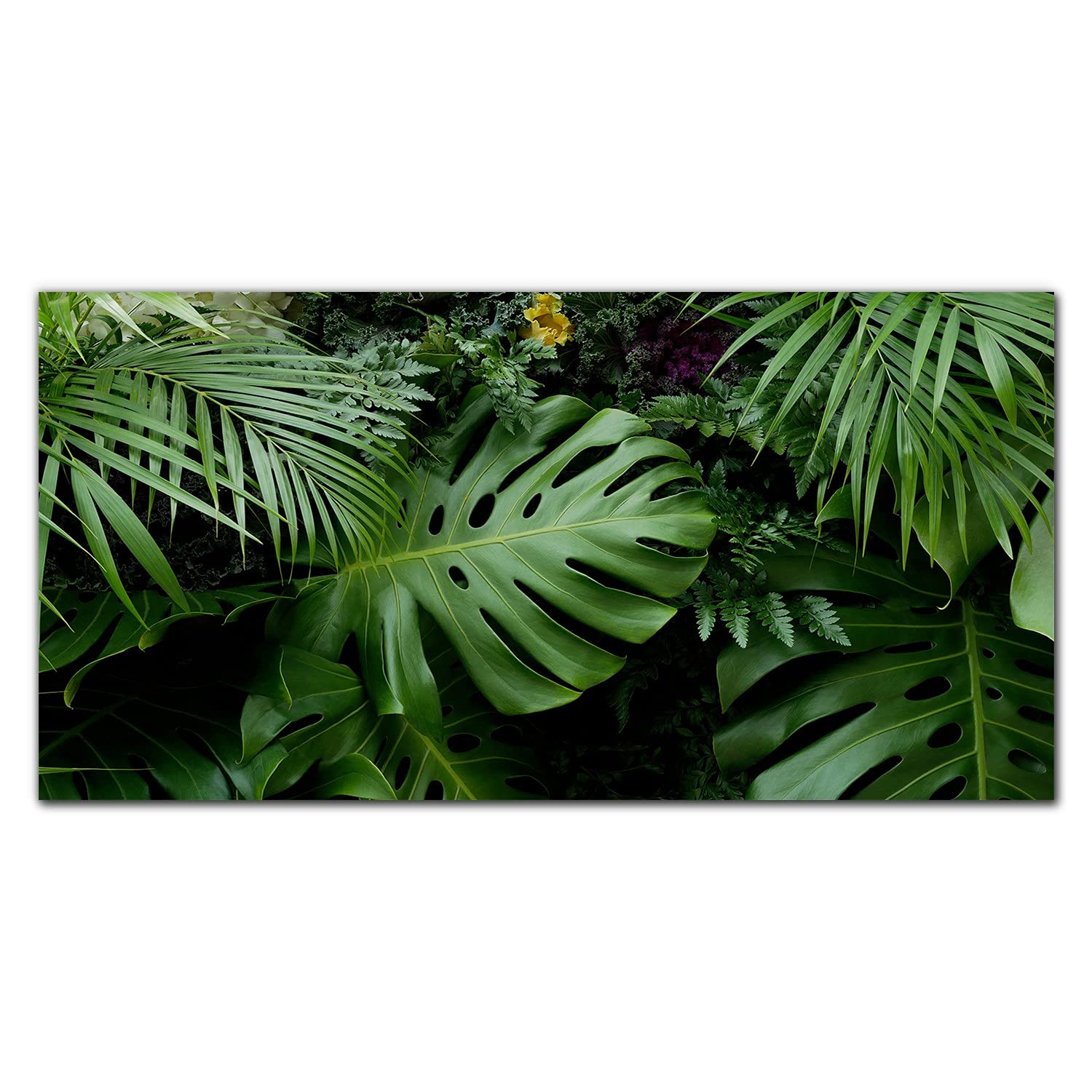 Crédence de cuisine 100x50cm dosseret en verre trempé décoration murale feuilles tropicales