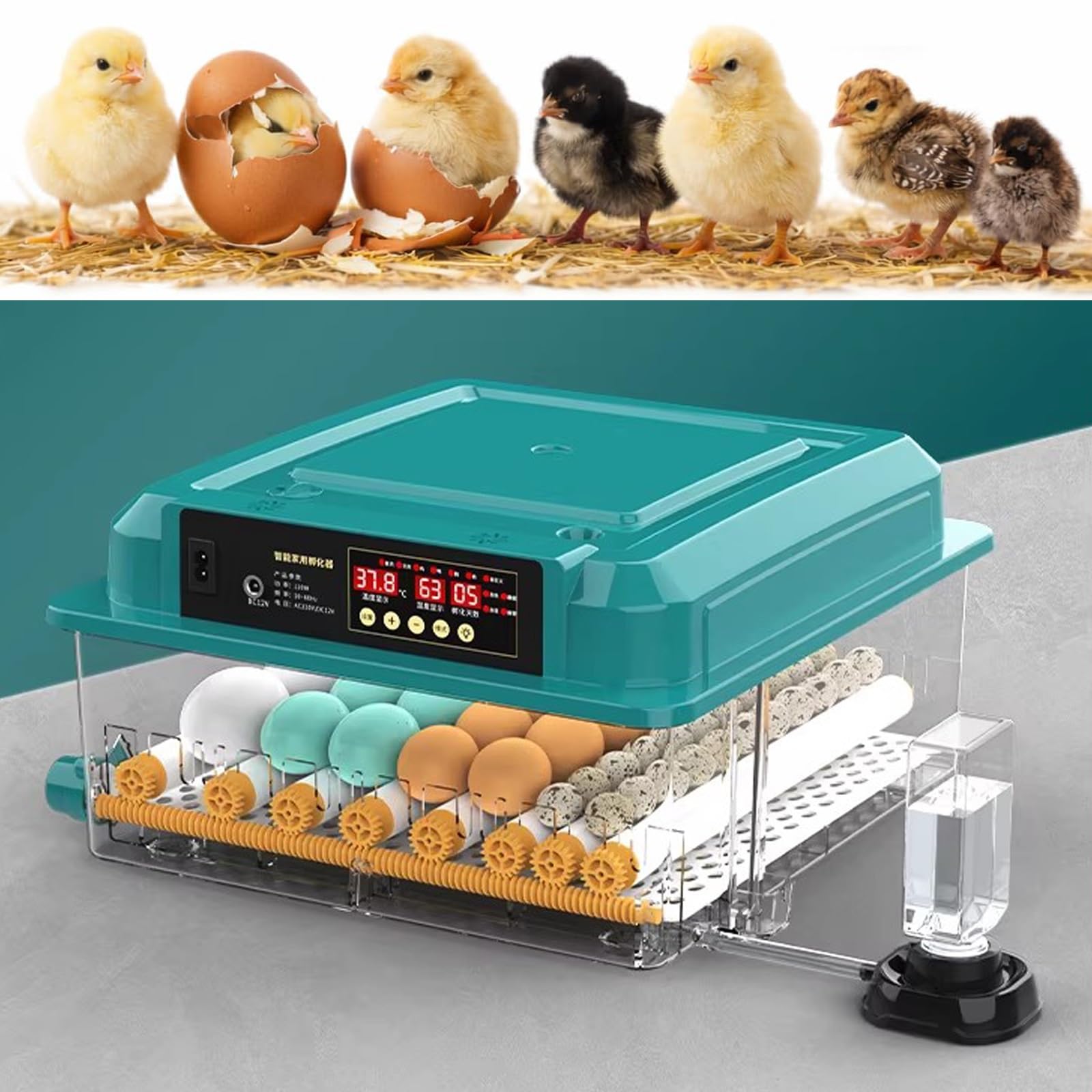 Inkubatory do Wylęgu Jaj, Automatyczny Inkubator z Kontrolą Temperatury i Wilgotności, Lęgnik dla Drobiu: Kur, Kaczek, Przepiórek I Gęsi(24 Eggs)