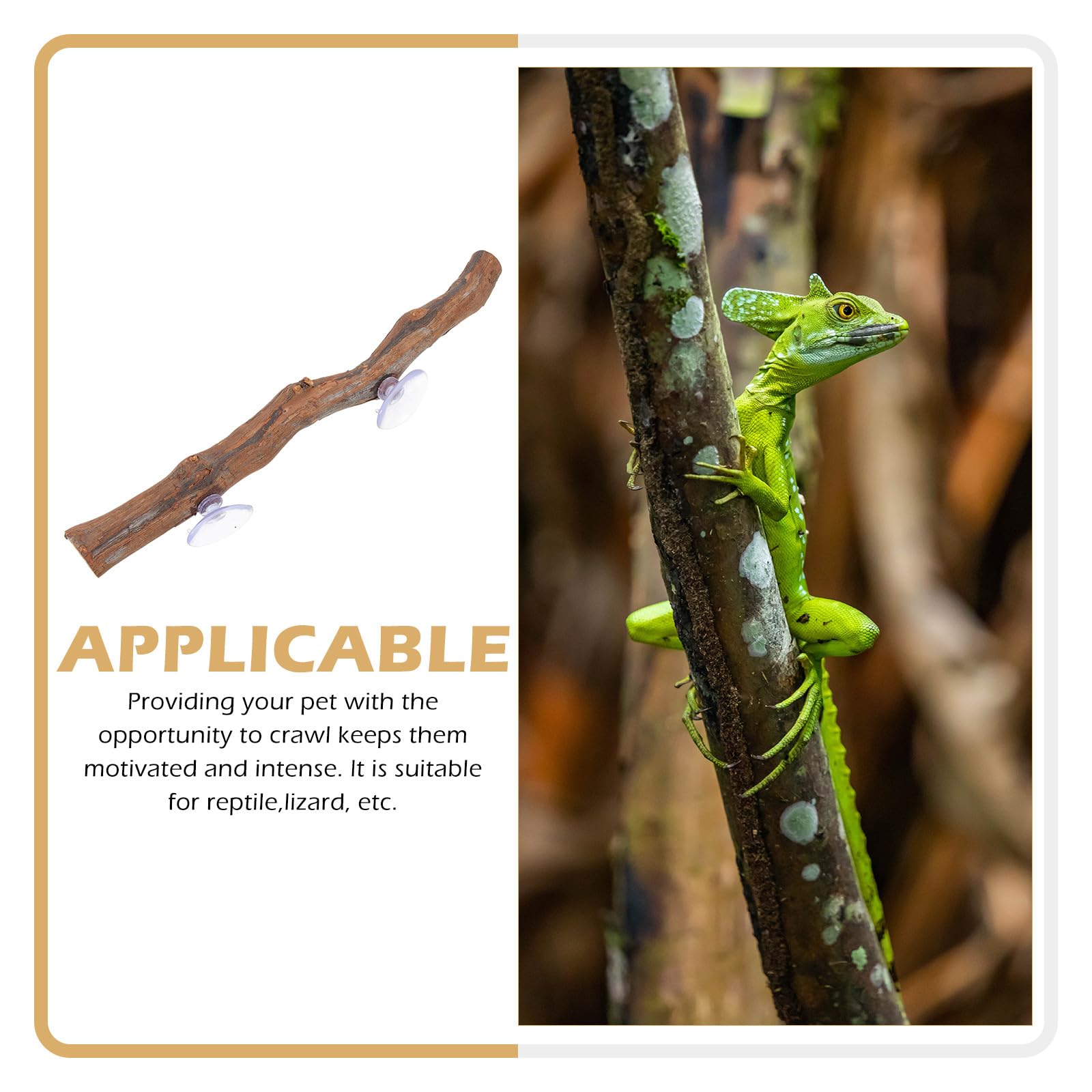 Ciieeo Rama de Madera Juguete de Escalada Seguro y Redondo para Reptiles Ventosa para Dragón Barbudo y Reptiles en Terrarios