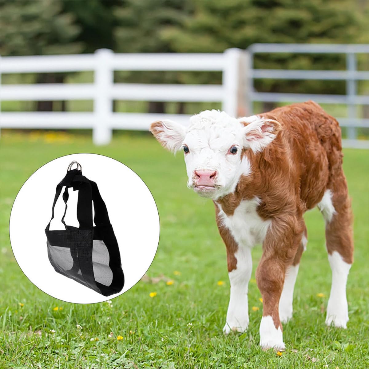 VANZACK Imbracatura per Pesatura Bestiame in Nylon 2 Pezzi Design Resistente e Sicuro per Piccoli Animali e Vitelli, Comoda e Facile da Usare