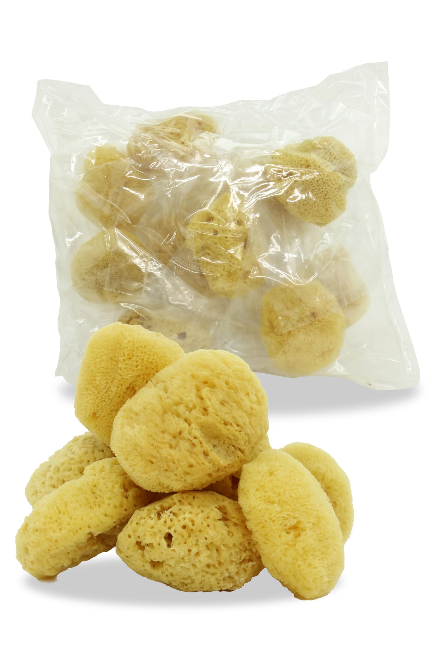 トイズファンの天然海綿 女性用 海外直輸入品 パフ メイク落とし