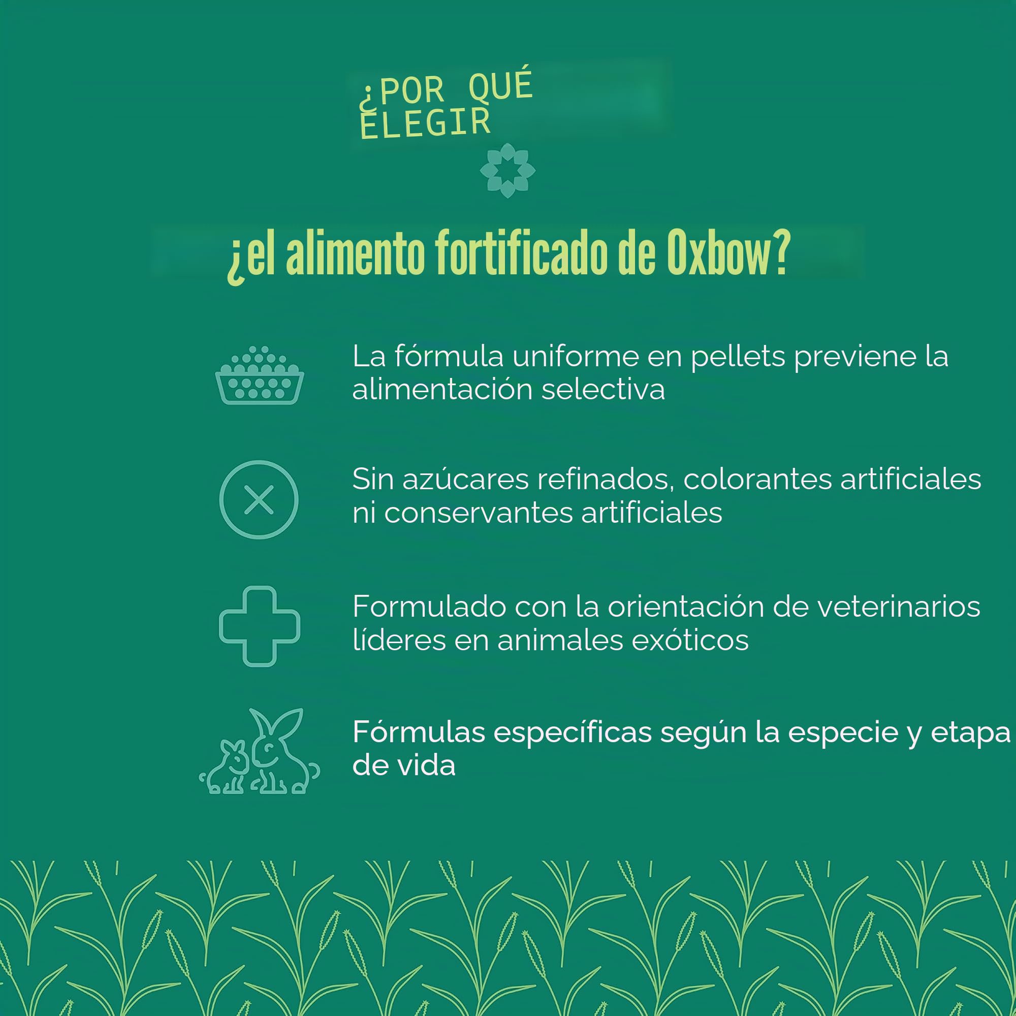 Oxbow Essentials - Alimento para Conejo para Adultos, 25 Libras.