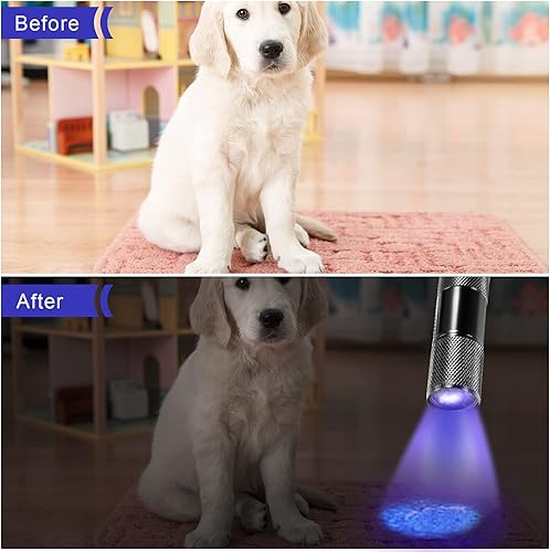 Miniatura 6 de Roceei 10 linternas de luz negra UV, luz LED, de mano, mini detector de antorcha de luz, linterna UV portátil para mascotas manchas de orina (luz
