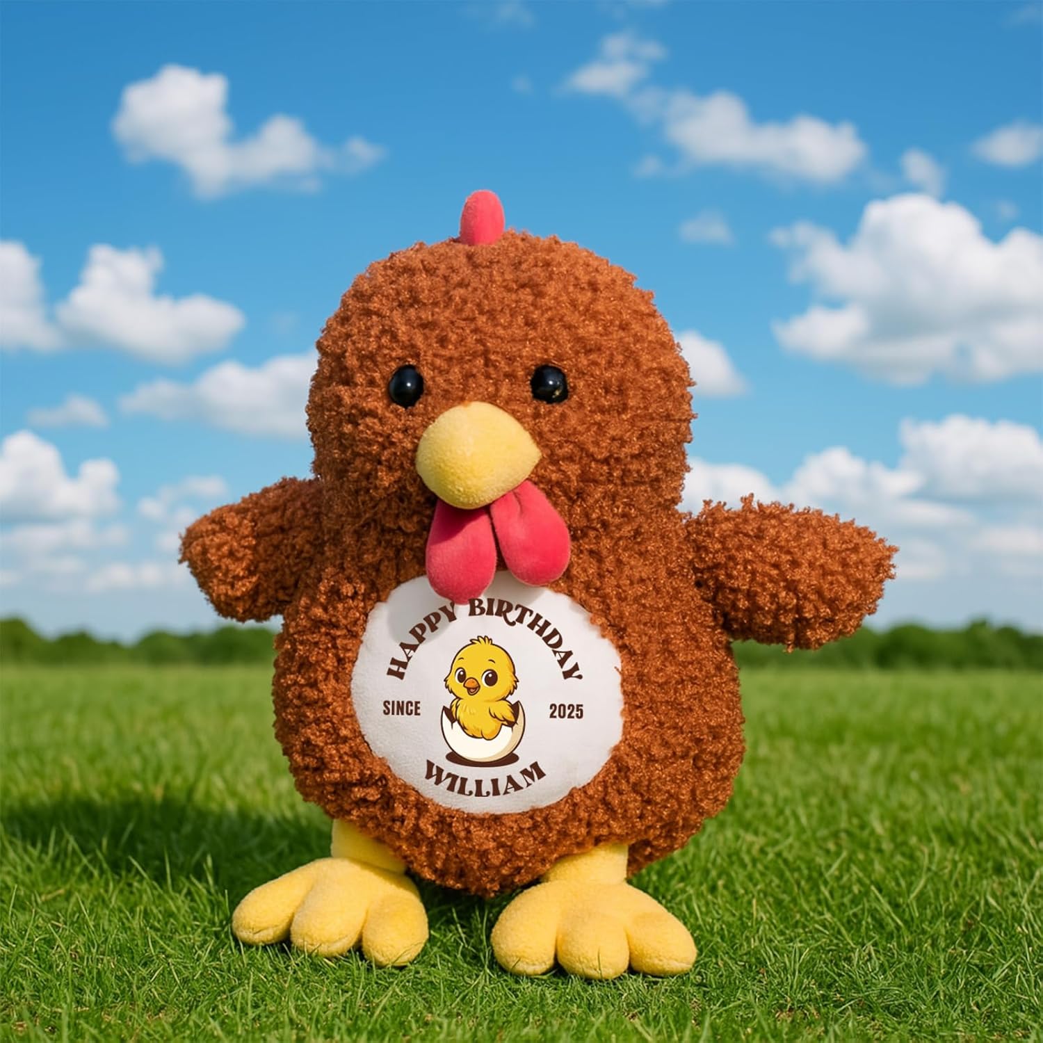 Custom Chicken Stuffed Animal 10.2" Chicken Plush Doll, Soft Cute Birthday for Girls Boys Farm Lovers
