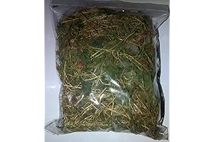 Jamaican Cerasse Herb: The Time-Honored Remedy