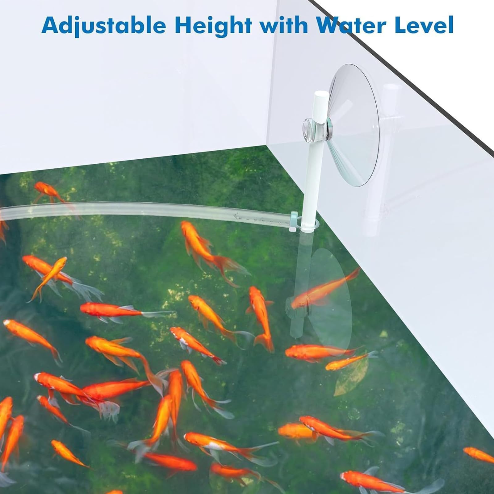 GAOSHA Aquariums Floating Plant Floating Plant Fence Fish Feeding Rings for Fishtanks Househould Fishtanks Supplies