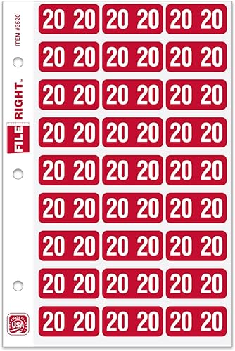 Archivo de etiquetas de año correcto (libros de anillos) para una organización sin esfuerzo, etiquetas autoadhesivas de colores de larga duración,