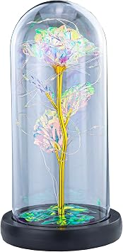 INOGIH Galaxy-Artificial Rose-Flowers-Forever Enchanted Rose with Colorful LED Light in Glass Dome for Romantic Gifts Anniversary