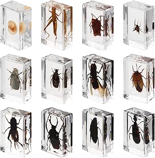 12PCS Insect in Resin Specimens, Bug Collection Paperweights, Real Bugs Preserved in Resin, Scientific Educational Toys for Men, Women