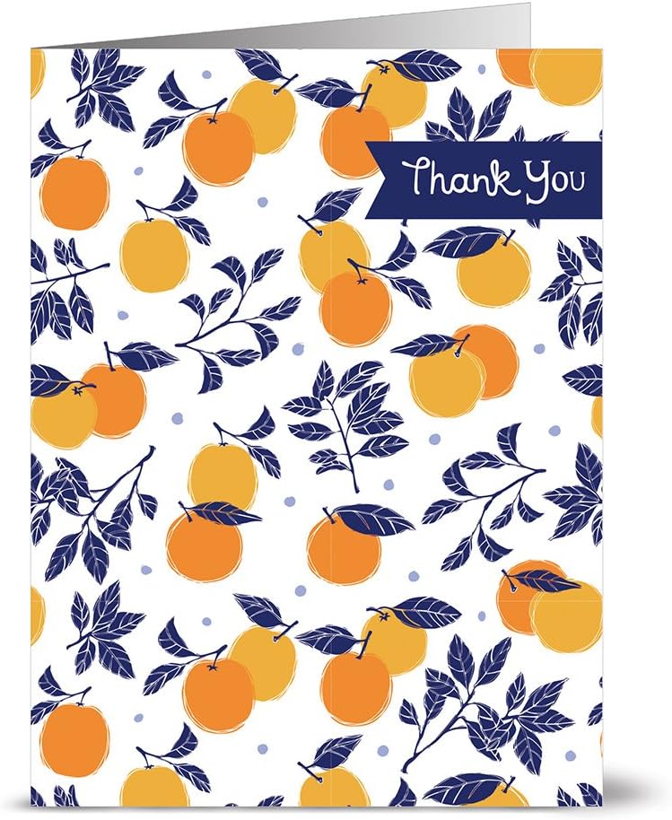 Note Card Cafe All Occasion Greeting Cards with Envelopes