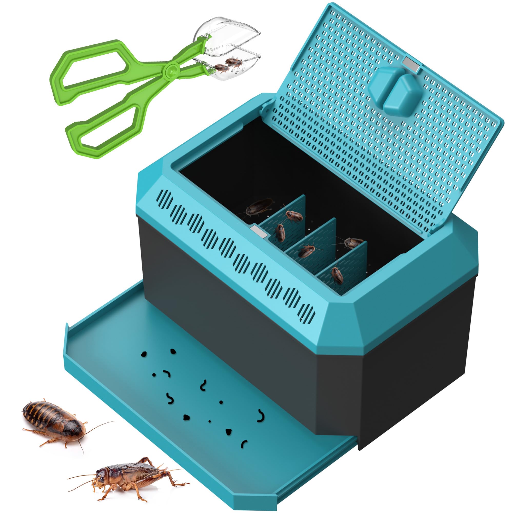 A breeding and Storage Container kit for Dubia roaches, Crickets, and Other Live Reptile feeders. This Set Includes a Secure Holding Box and a Pair of Feeding Tongs.- 9.25" L x 6.3" W x 5.71" H