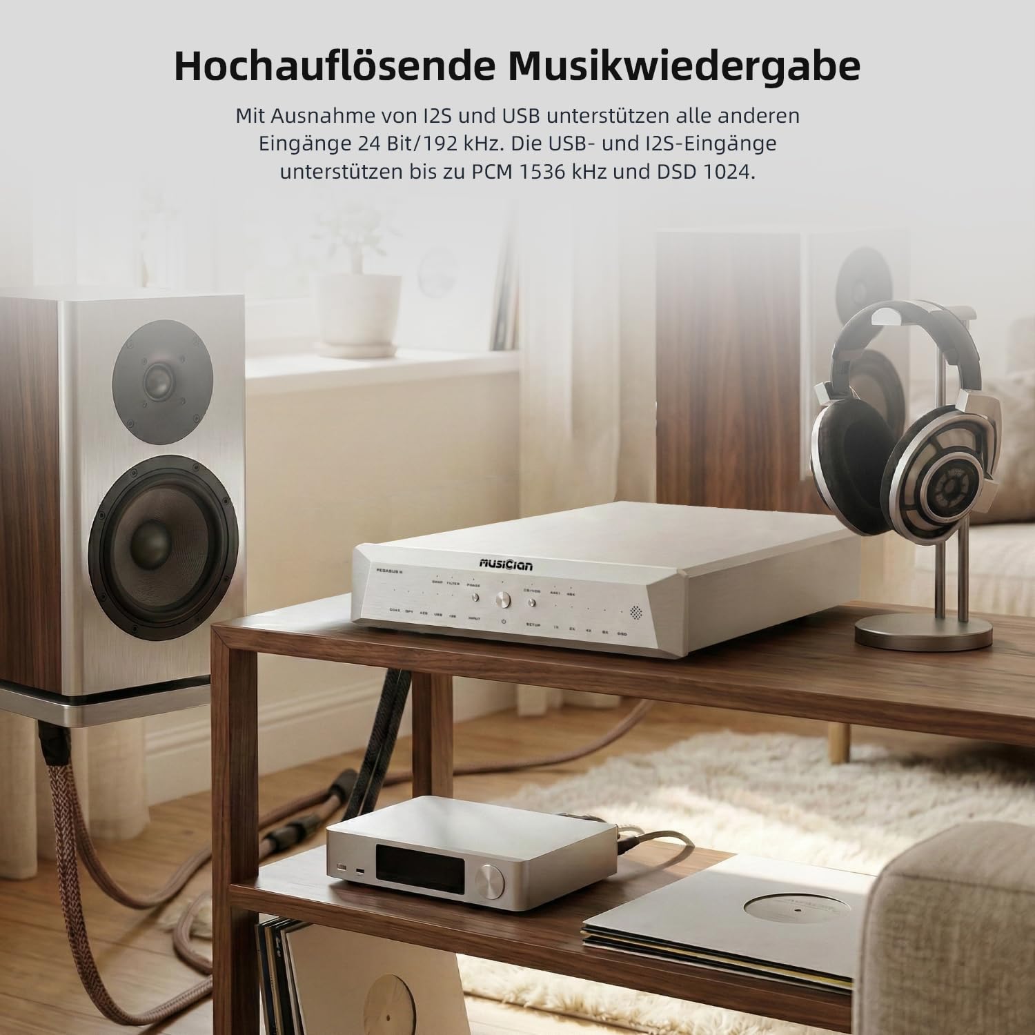 Musician Pegasus III R2R DAC, DSD1024 PCM1536kHz Decoder, USB/Opt/Coax/AES/IIS-Eingang, RCA/XLR-Ausgang, symmetrischer Digital-Analog-Audio-Konverter (Silber)