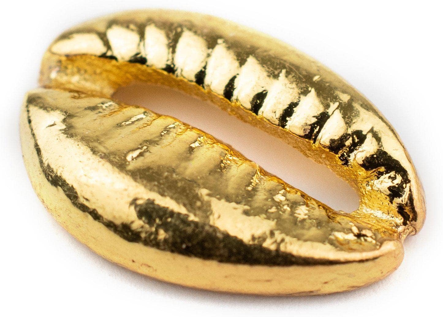 The Bead Chest Bright Gold Cowrie Shell Beads Set of 5 18mm Unusual Brass