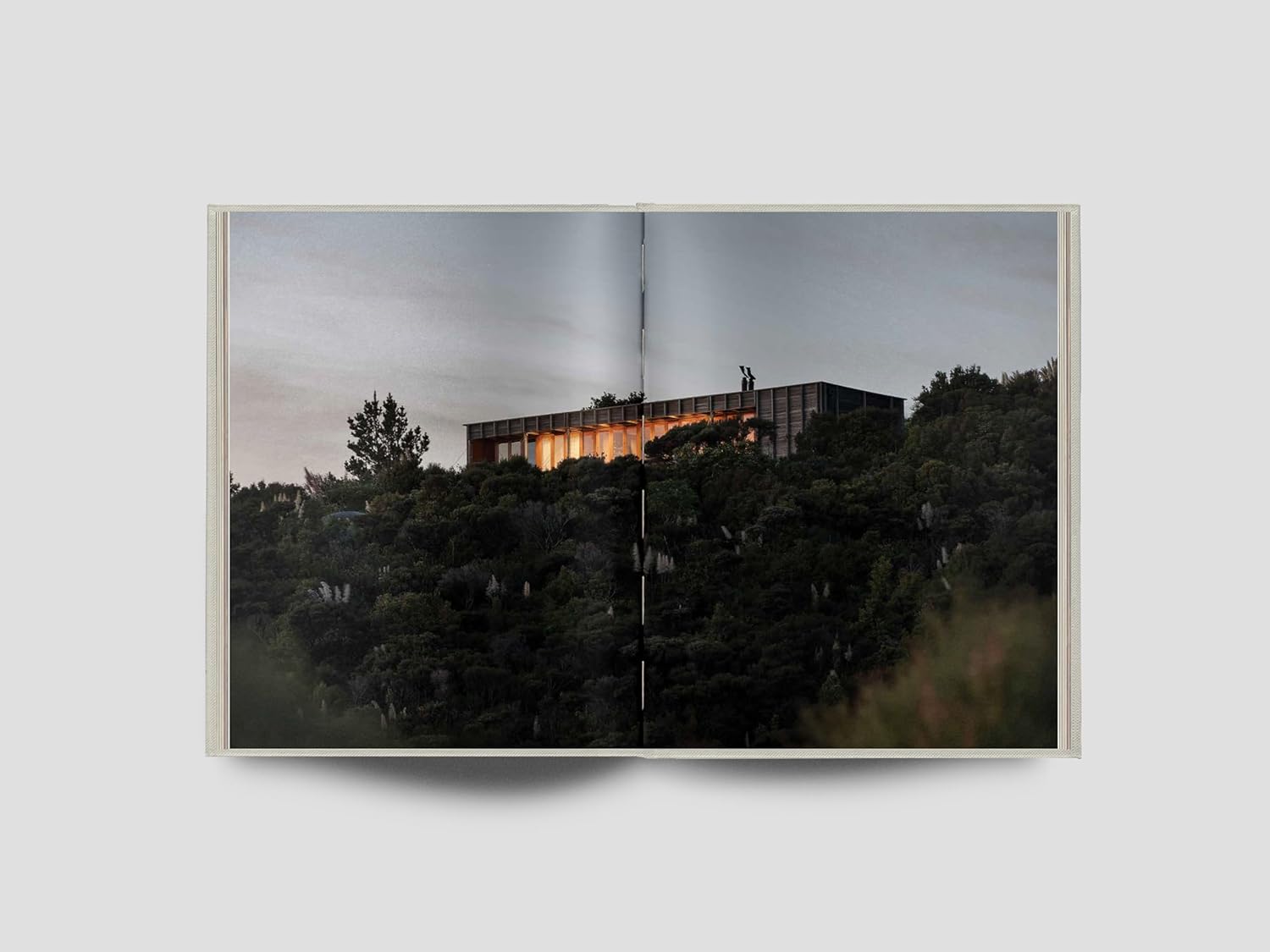 The Local Project: Book 10 - Image 7